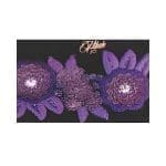 Royal Purple Sheila