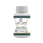 Gluco Wize